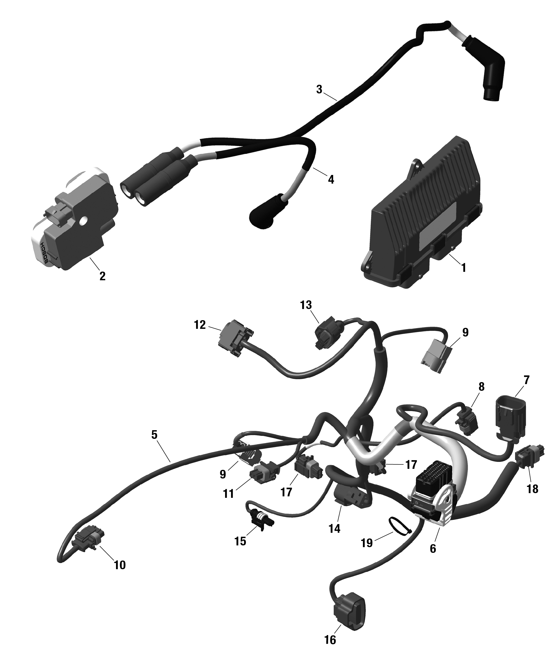 ROTAX - Engine Harness And Electronic Module