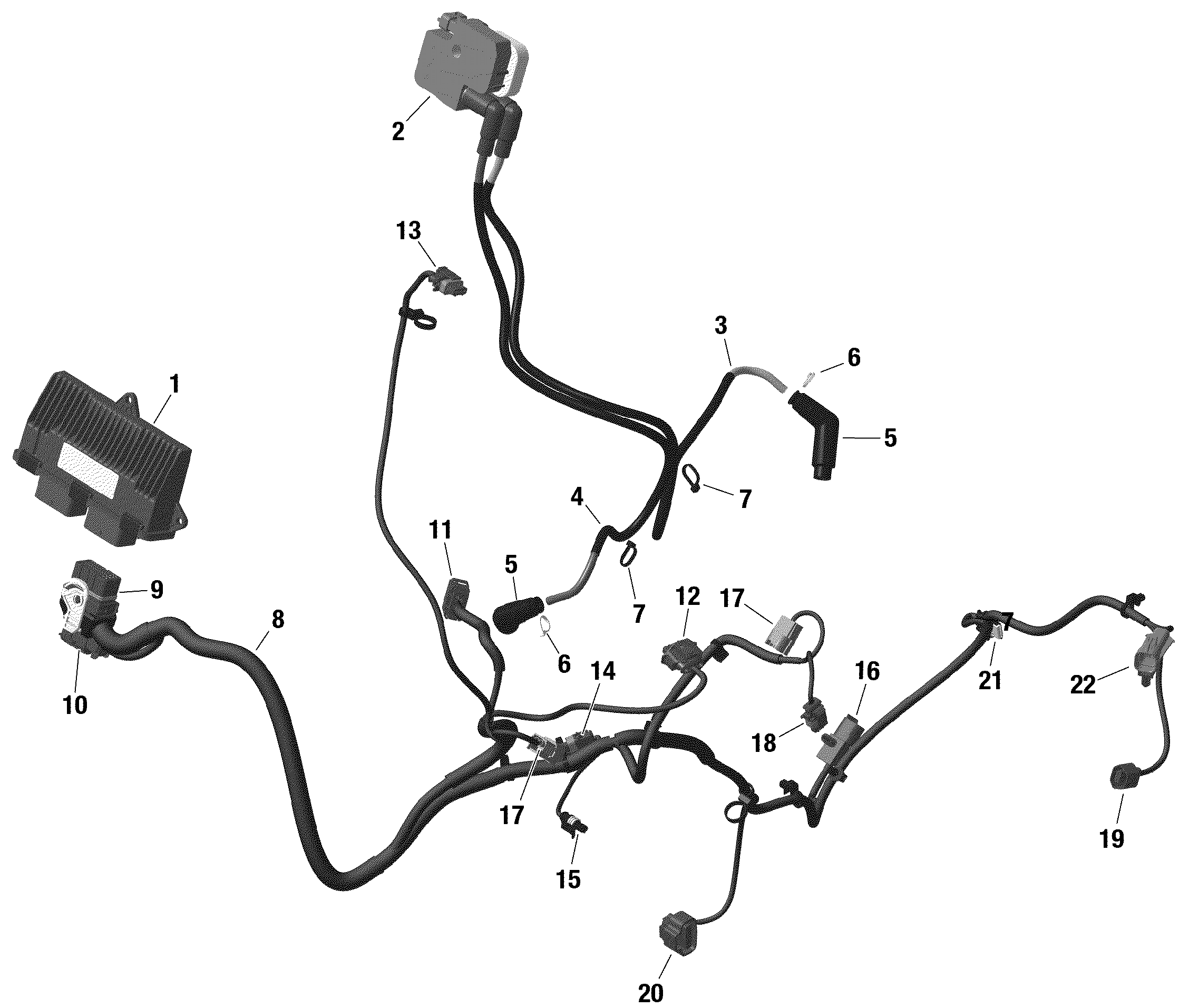 Electric - Engine Harness And Electronic Module - HD10