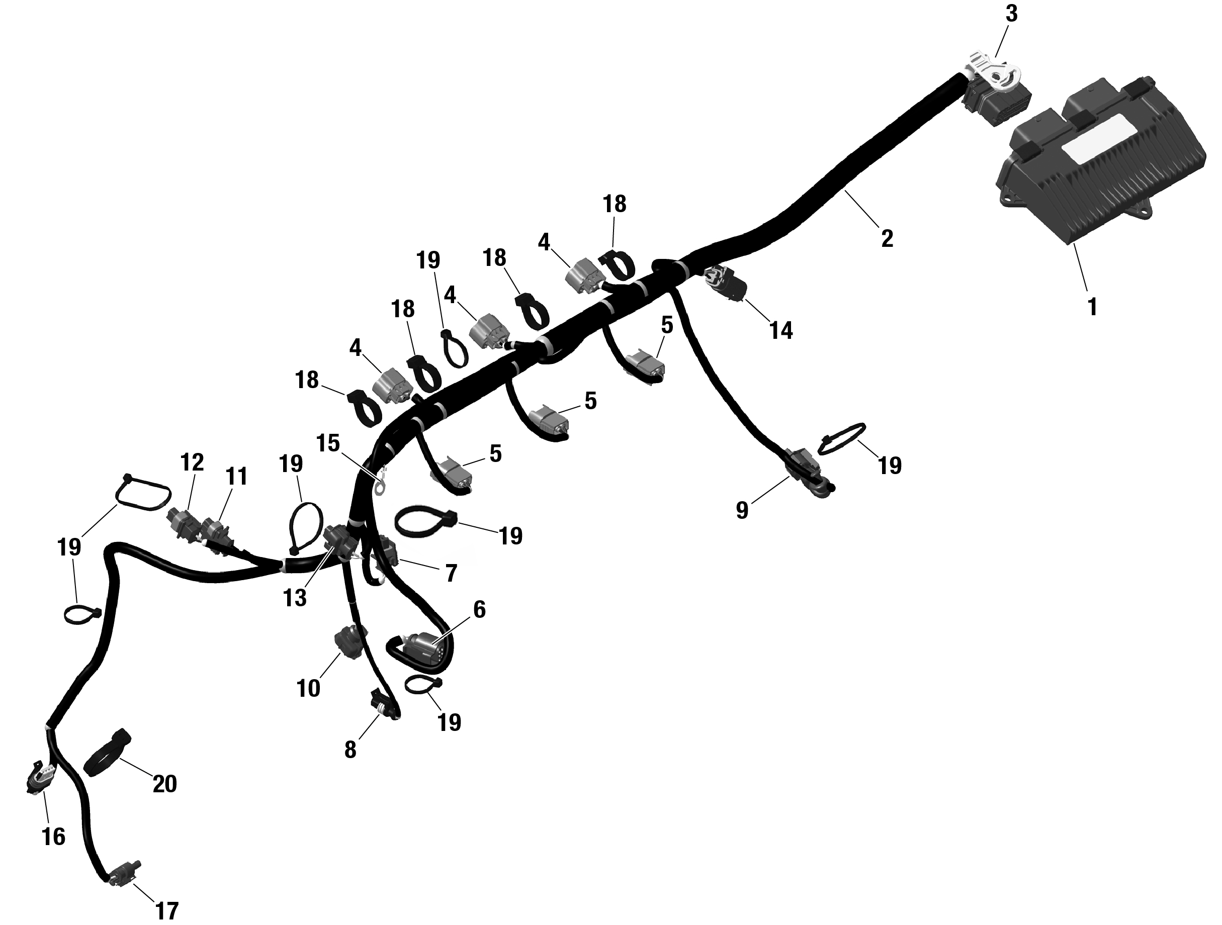 ROTAX - Engine Harness And Electronic Module