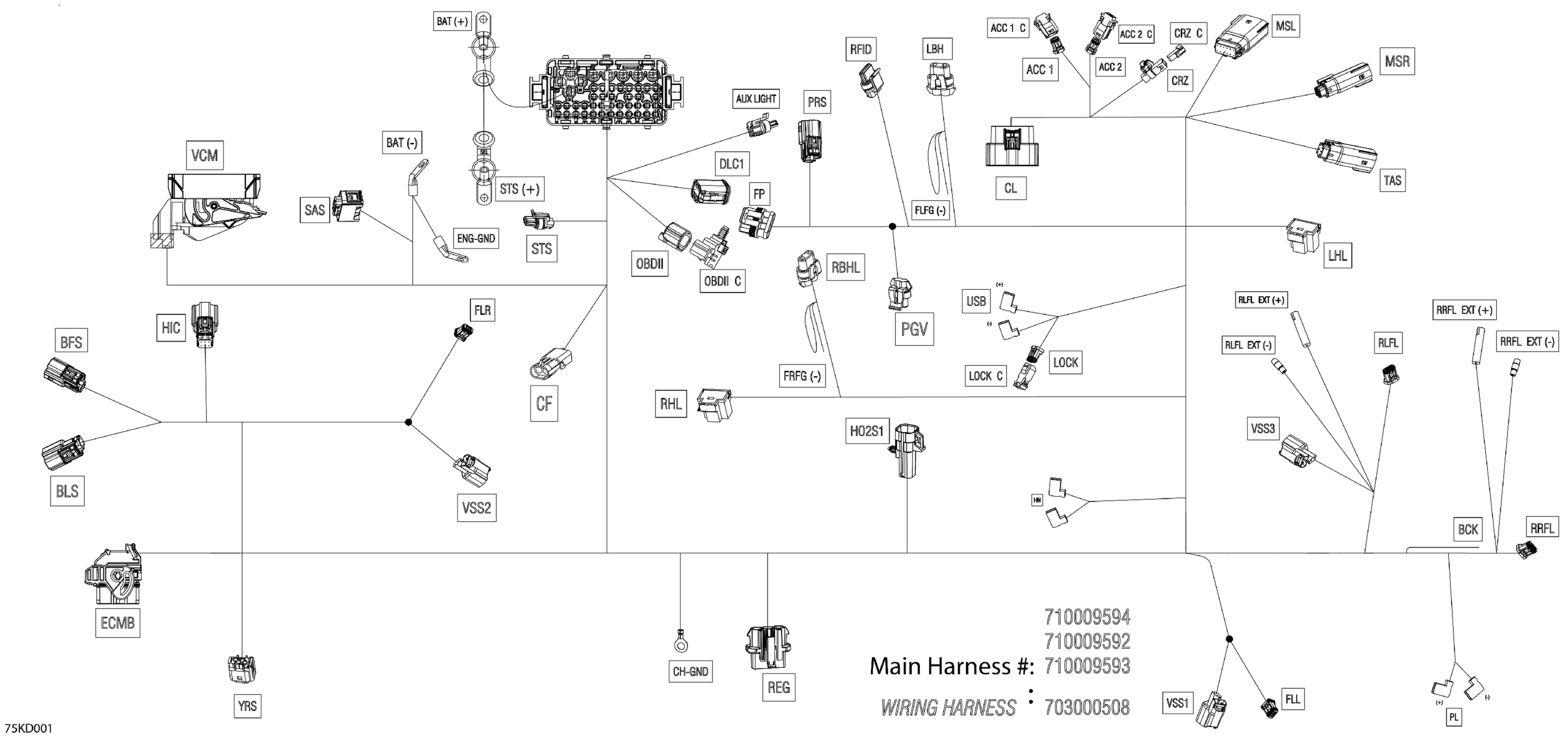 Electric - Main Harness