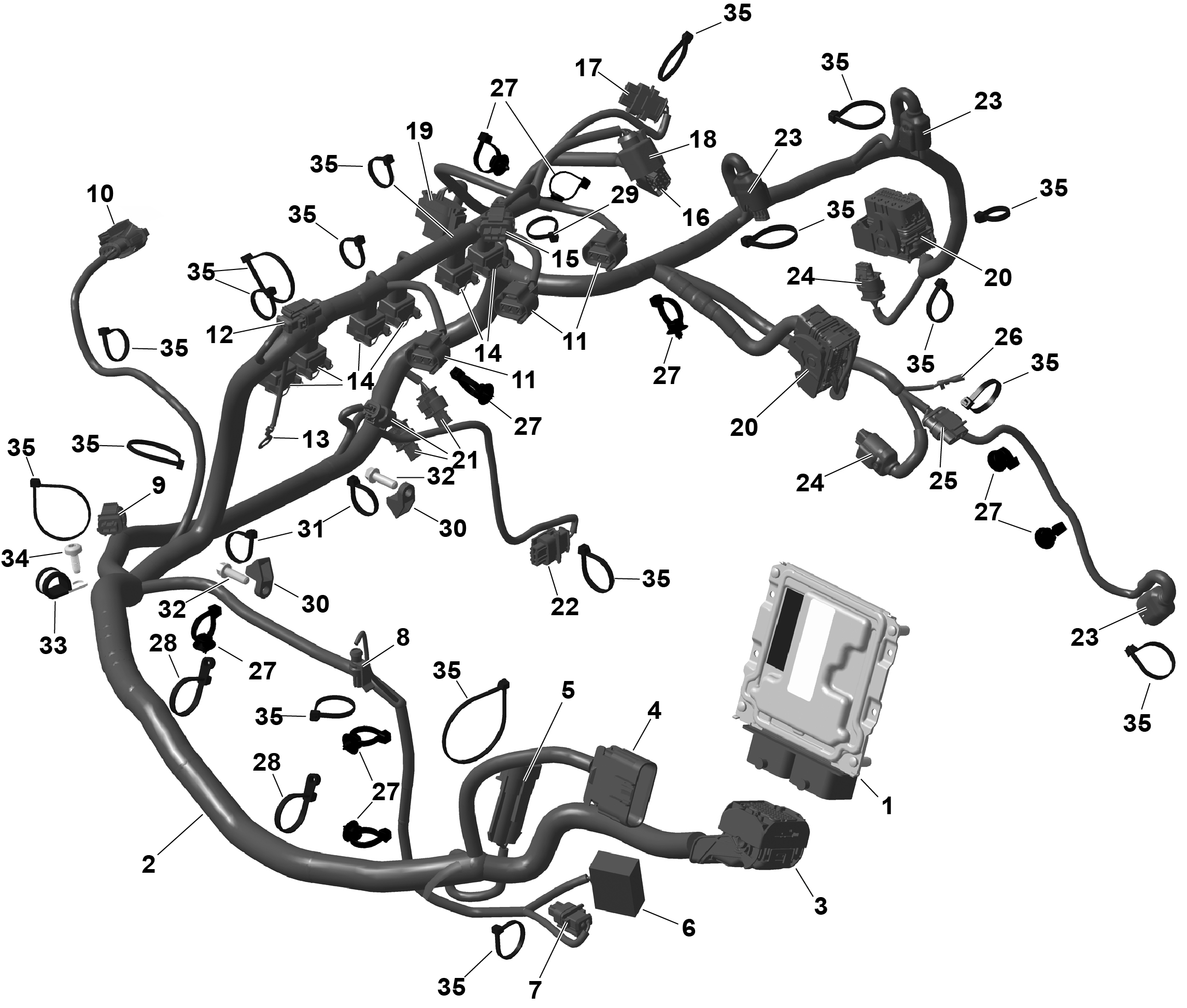 ROTAX - Engine Harness And Electronic Module