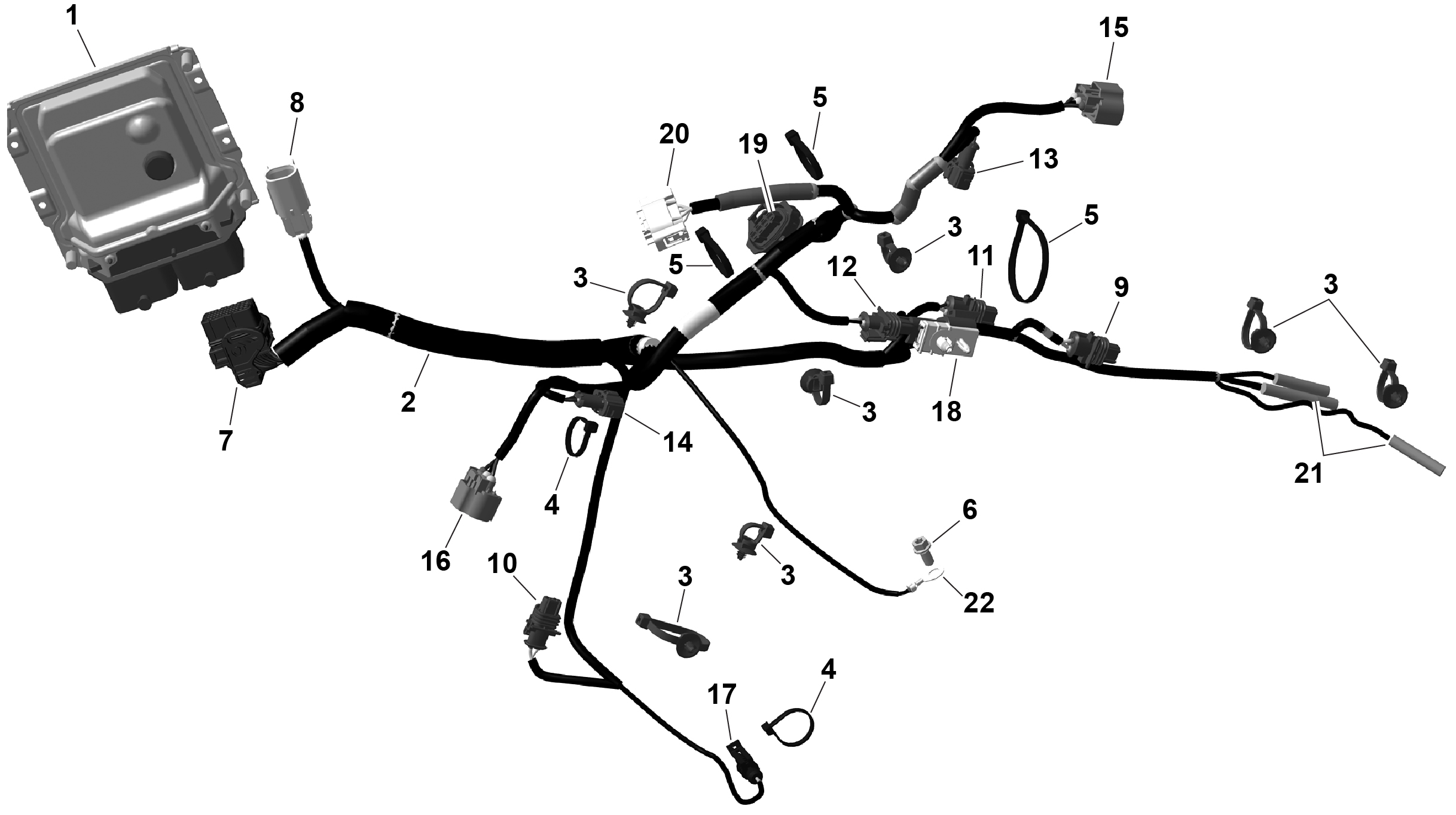 ROTAX - Engine Harness And Electronic Module