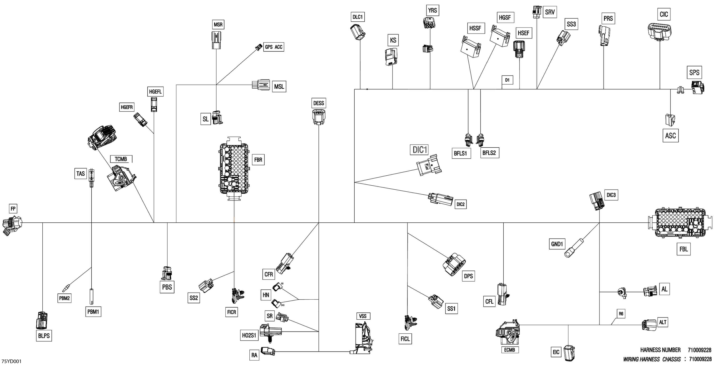 Electric - Main Harness