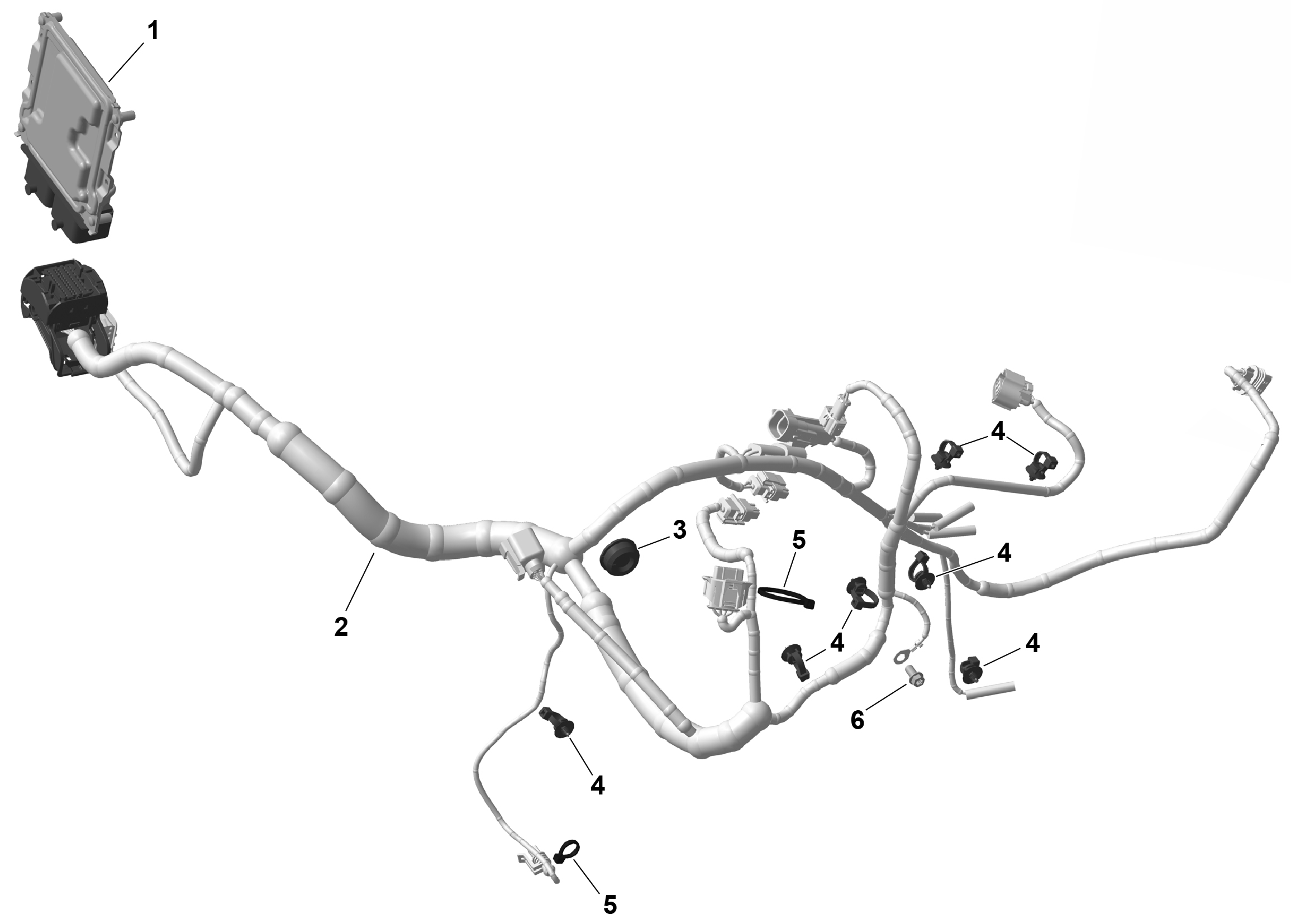 ROTAX - Engine Harness And Electronic Module