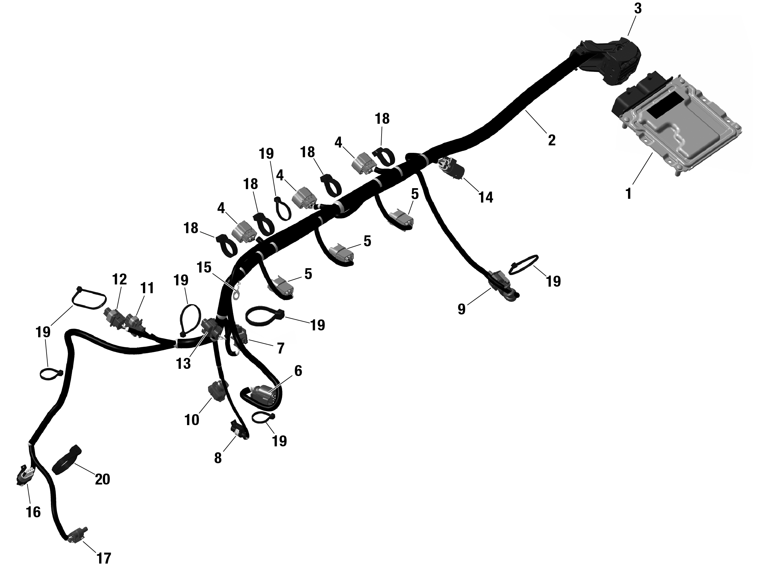 ROTAX - Engine Harness And Electronic Module