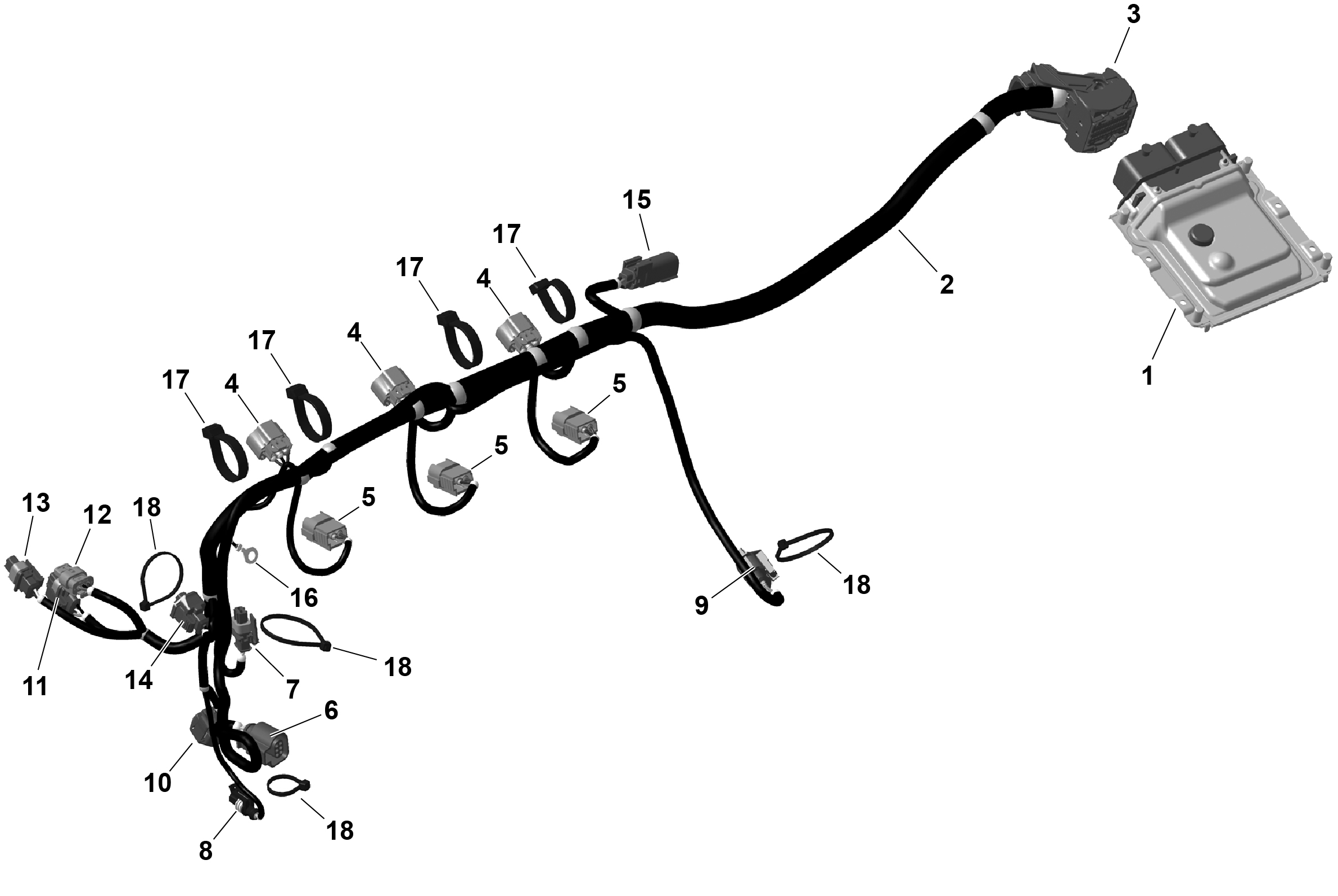 Схема узла: ROTAX - Engine Harness And Electronic Module