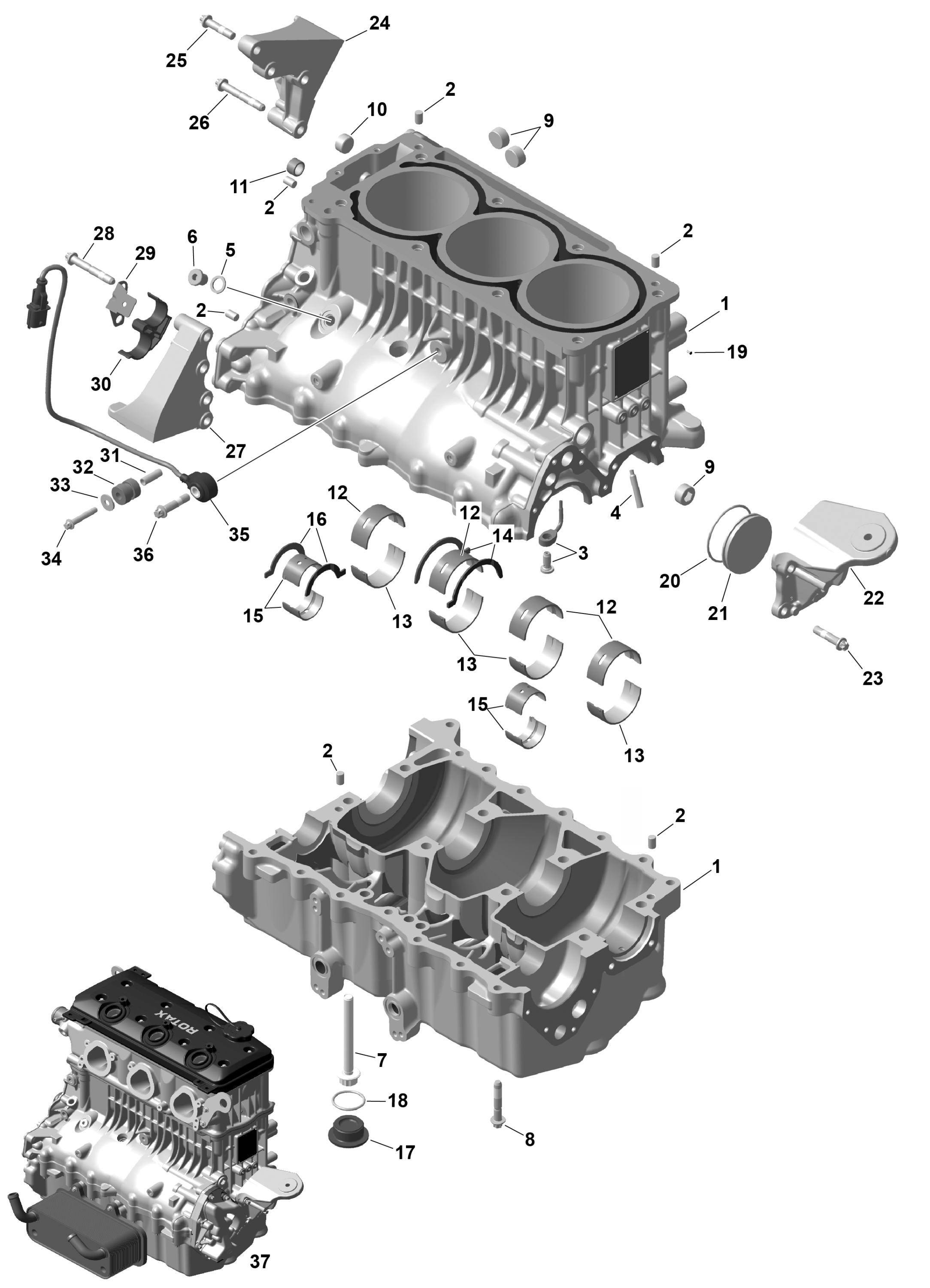 ROTAX - Crankcase